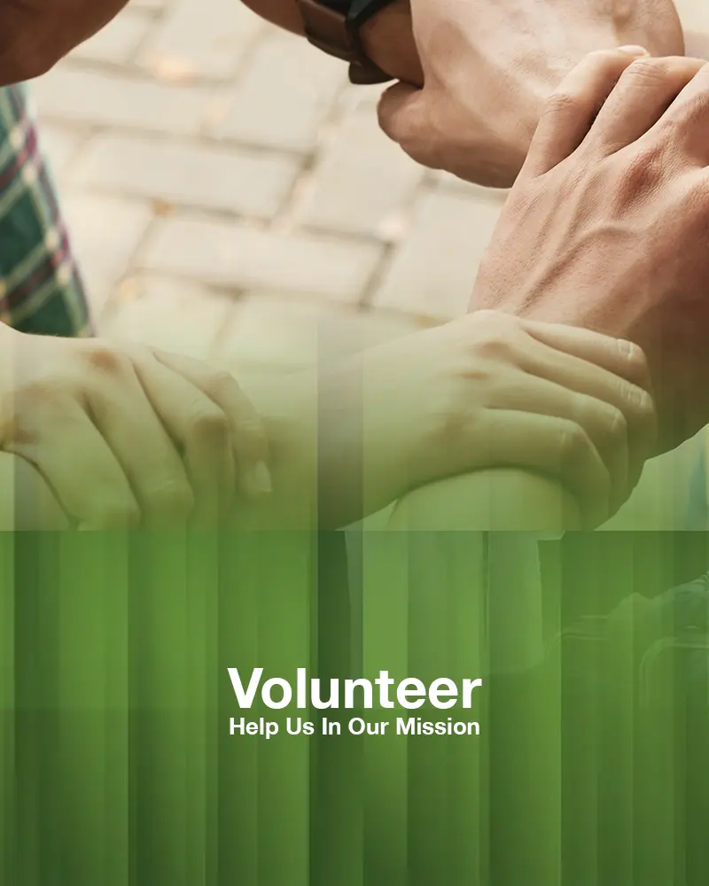 Volunteer
